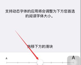 苹果手机字体大小调整方法