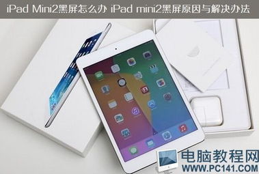 解决iPad黑屏的方法