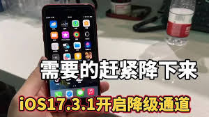 iPhone11是否应降级至iOS17.3.1探讨