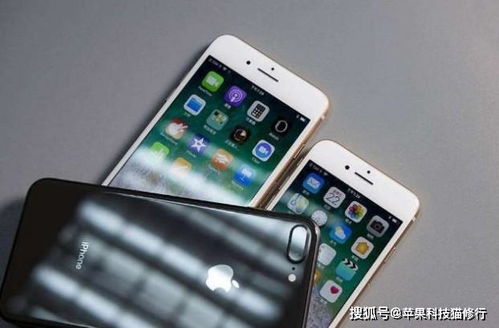 iPhone轻点唤醒不灵了？轻松解决iPhone触控失灵问题