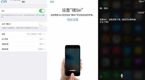 iPhone隐藏功能为何女性和小朋友必须设置