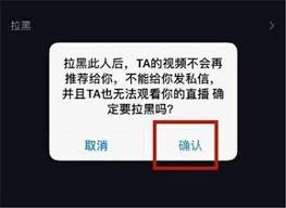 抖音拉黑是什么样子