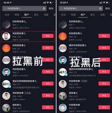 抖音拉黑是什么样子