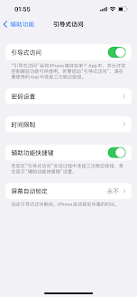 引导式访问在iPhone上无法使用怎么办