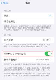 2024年如何在iPhone15 Pro系列中启用Apple ProRAW格式