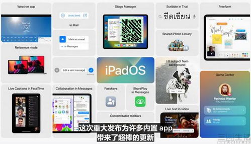 2024年iOS17中使用“碰一碰”功能分享个人名片的方法